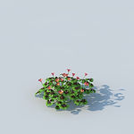 C4D植物模型