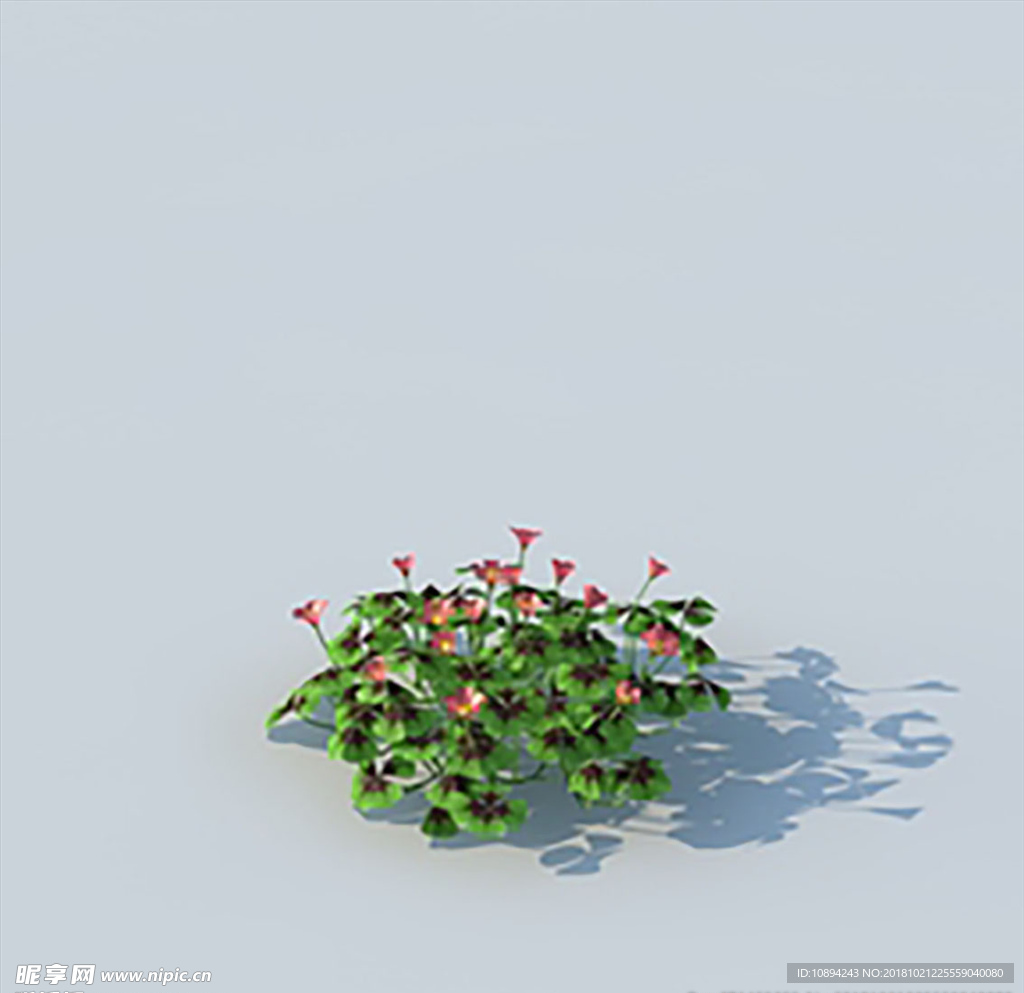 C4D植物模型