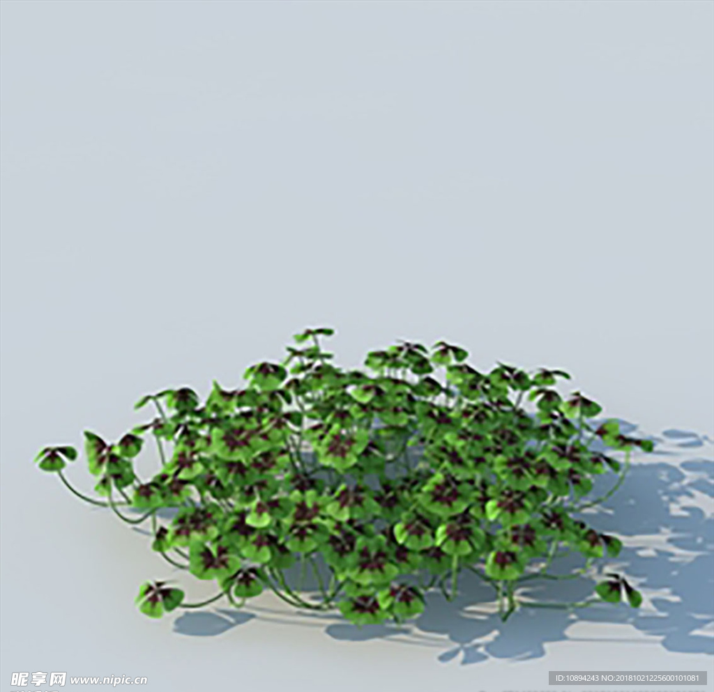 C4D植物模型