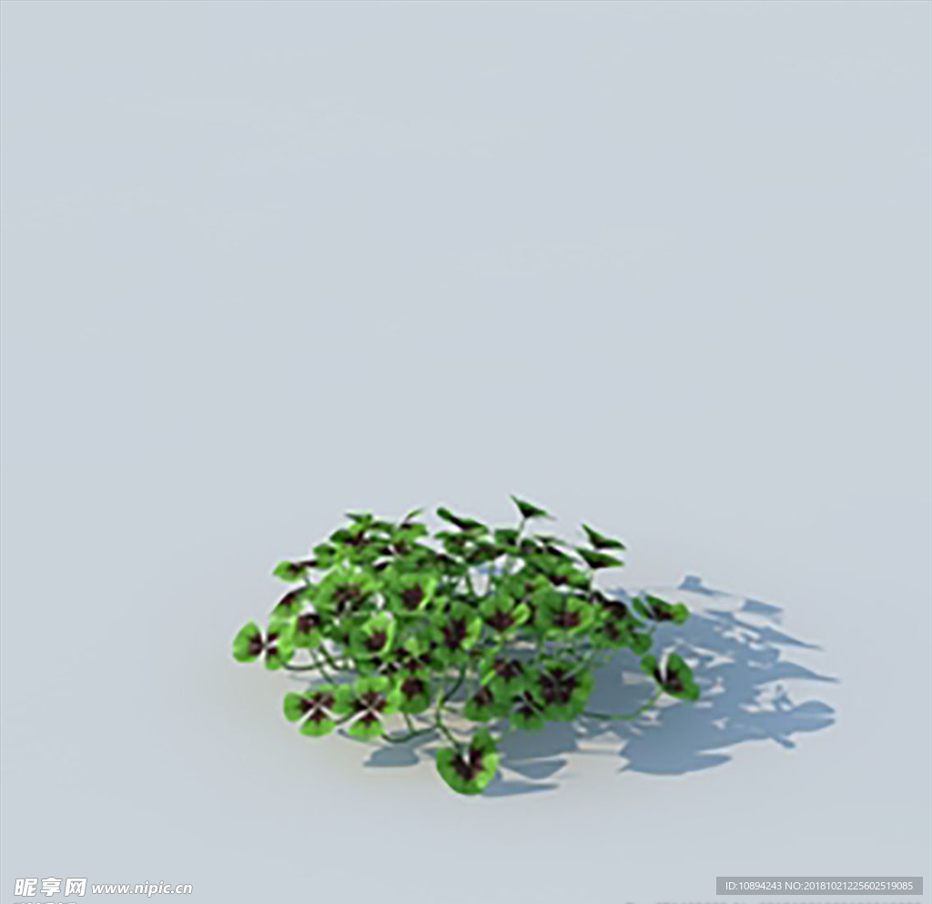 C4D植物模型