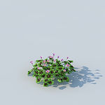 C4D植物模型
