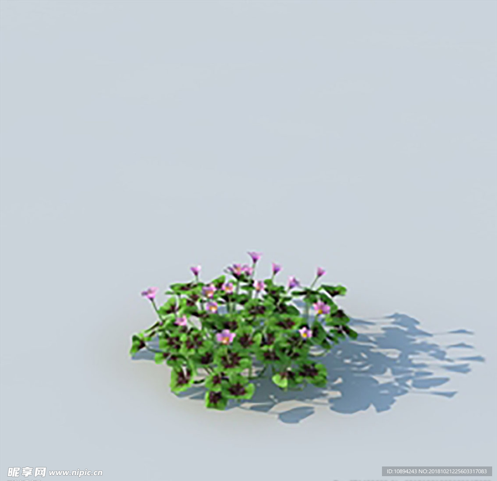 C4D植物模型