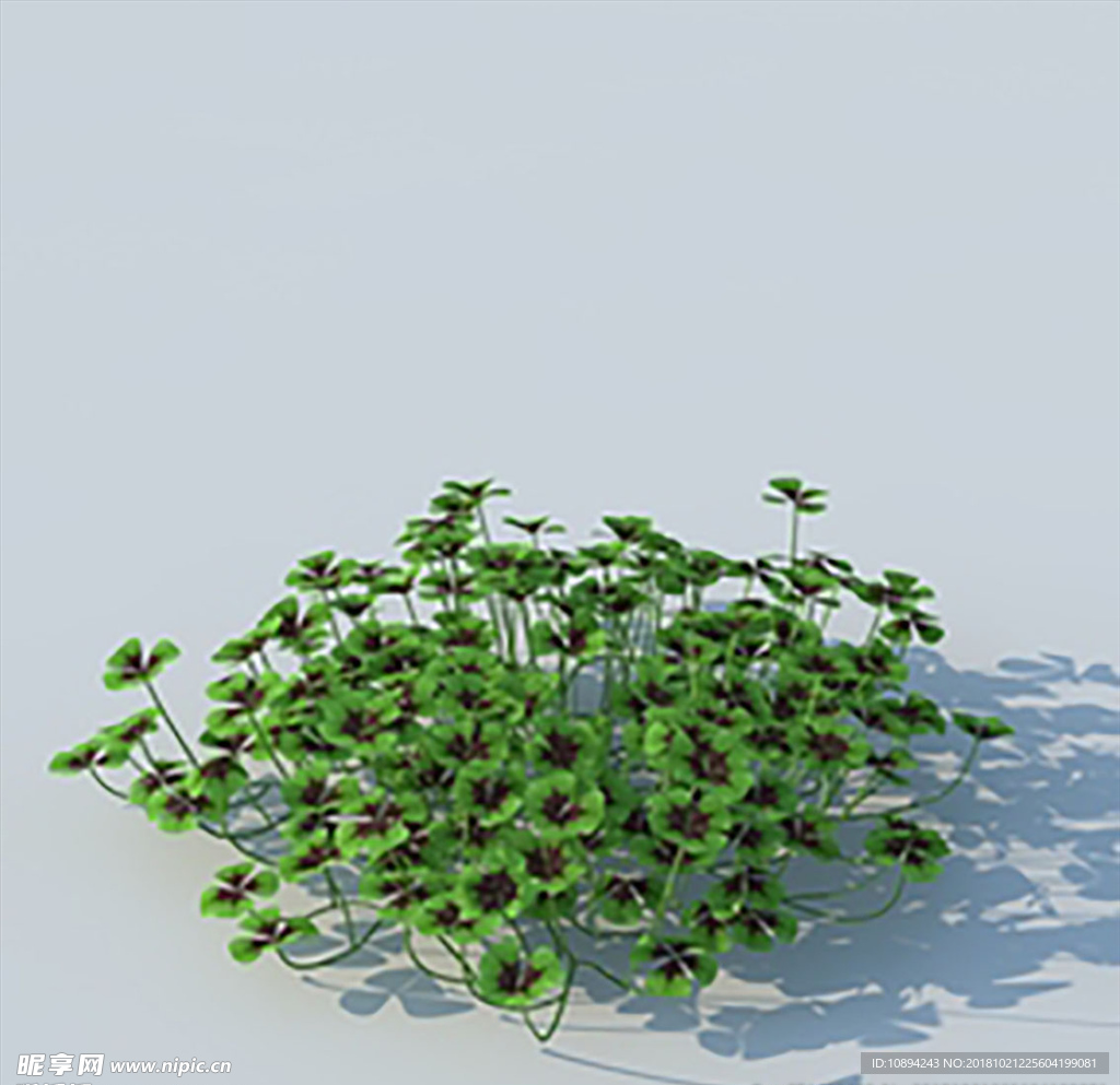 C4D植物模型