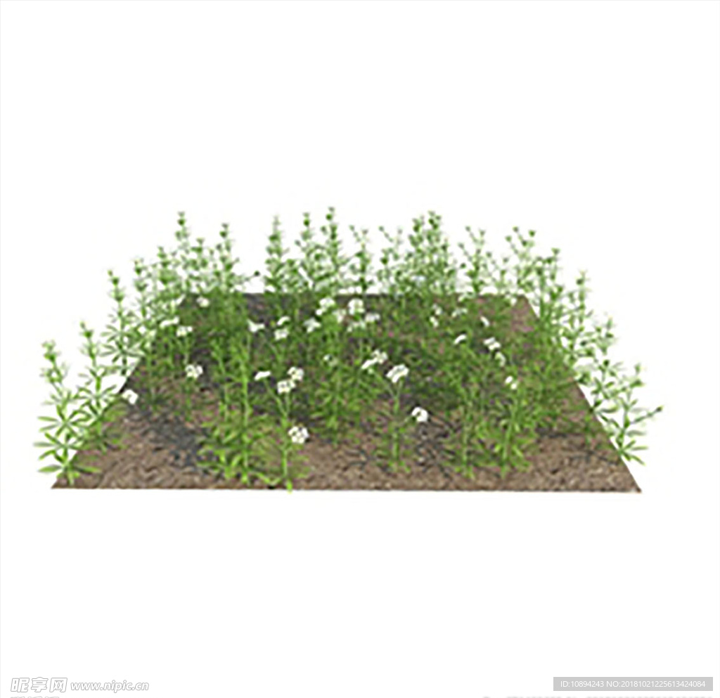 C4D植物模型