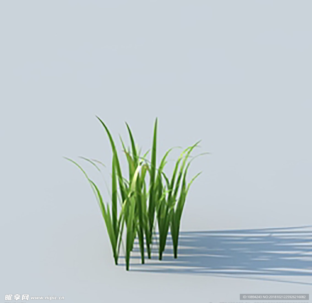 C4D植物模型