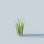 C4D植物模型