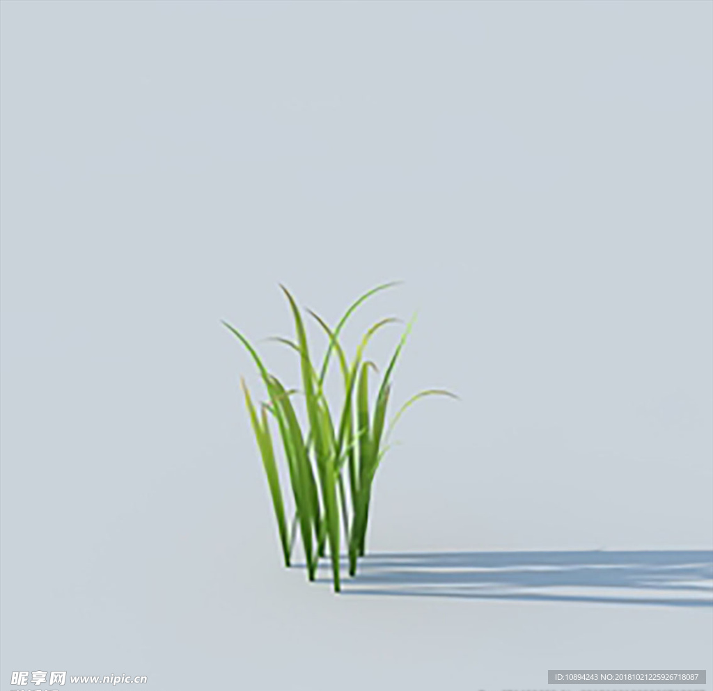 C4D植物模型