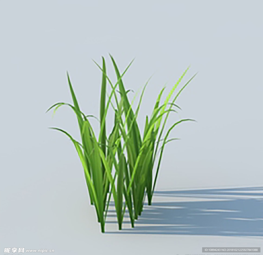 C4D植物模型