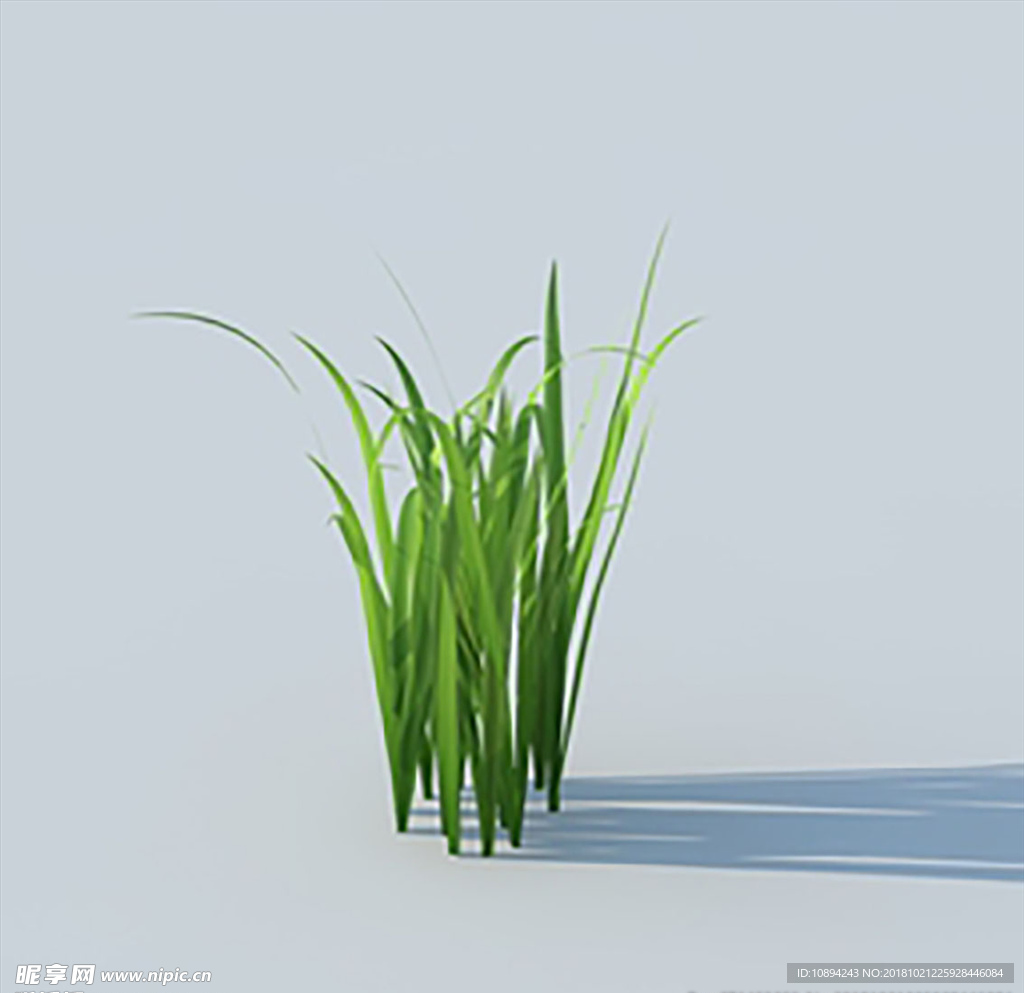 C4D植物模型