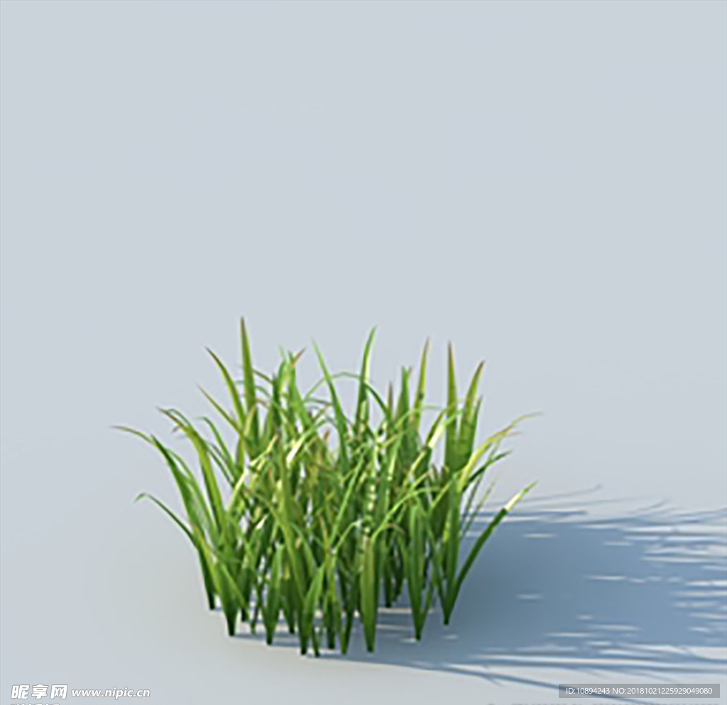 C4D植物模型