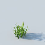 C4D植物模型