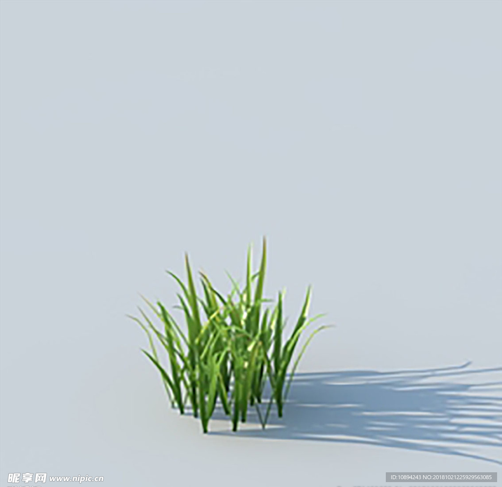 C4D植物模型