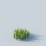 C4D植物模型