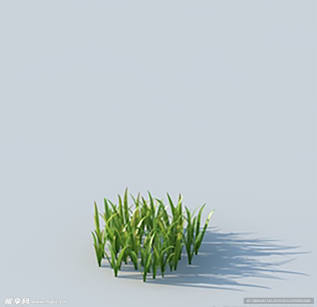 C4D植物模型