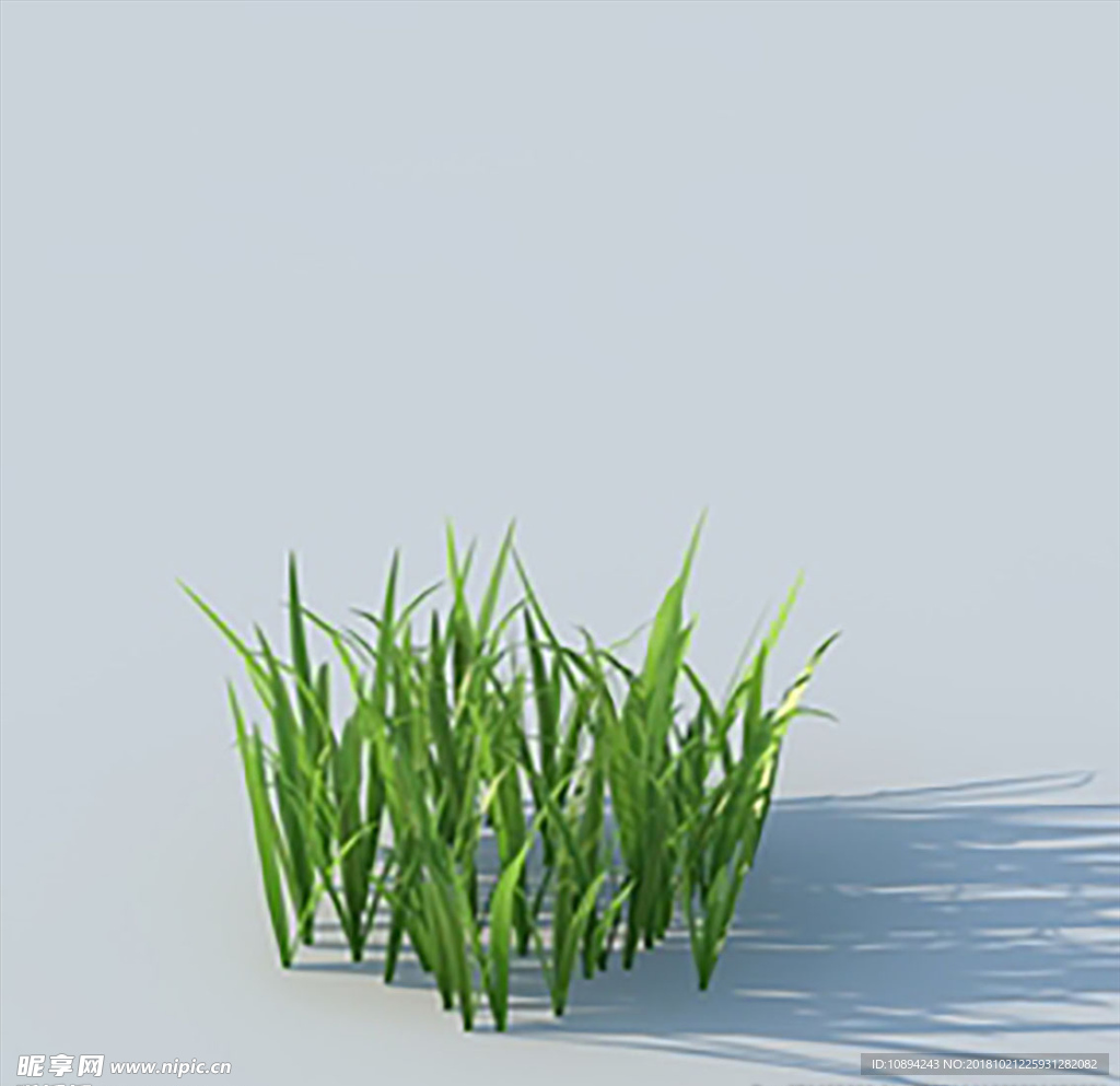 C4D植物模型