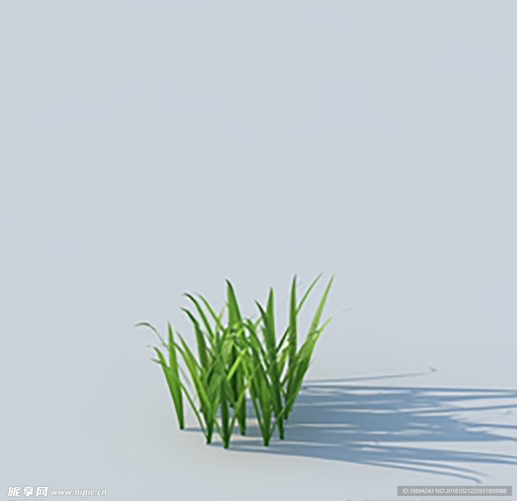 C4D植物模型