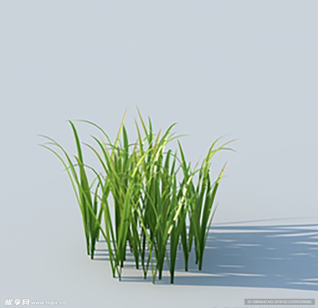 C4D植物模型