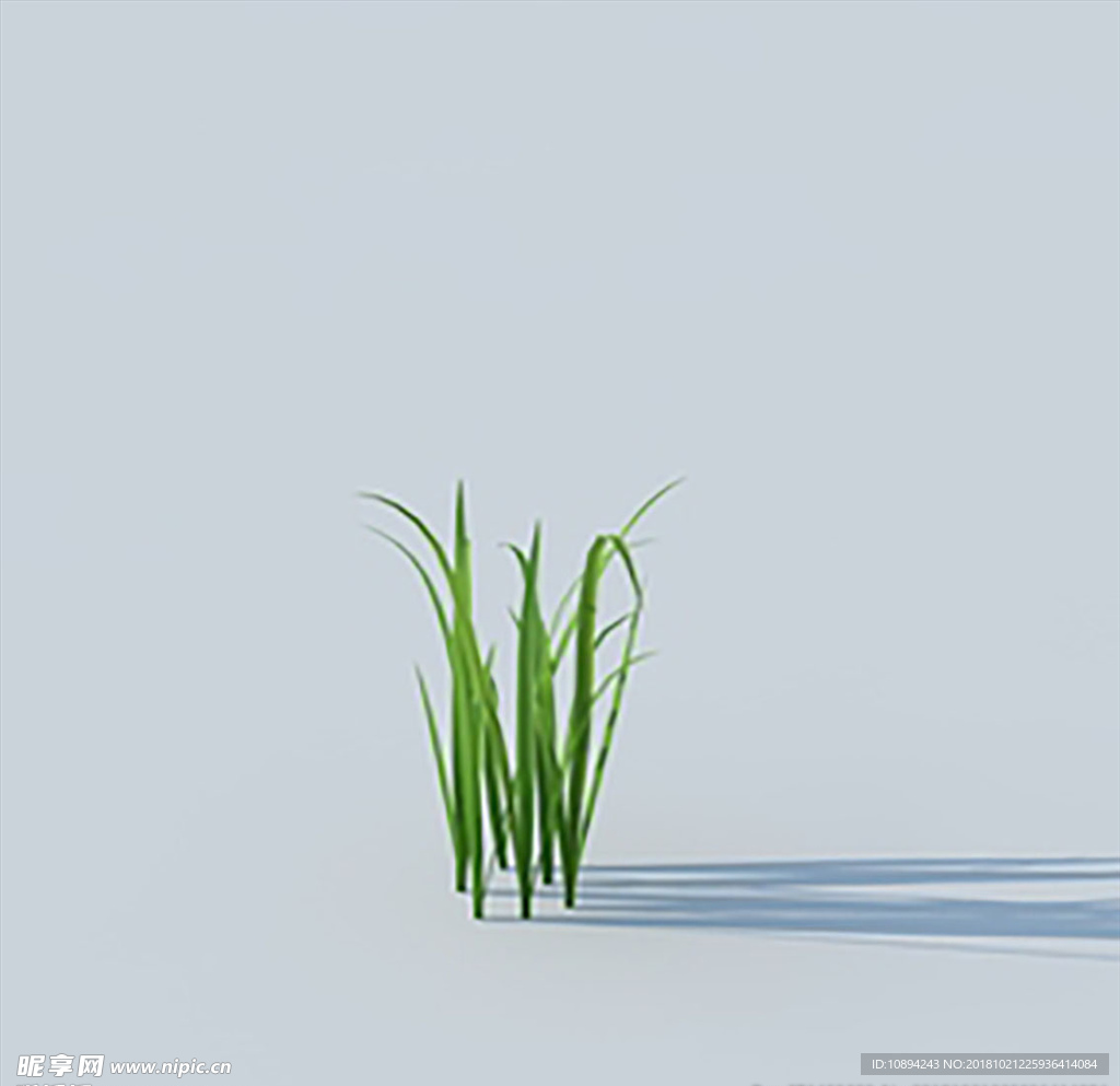 C4D植物模型