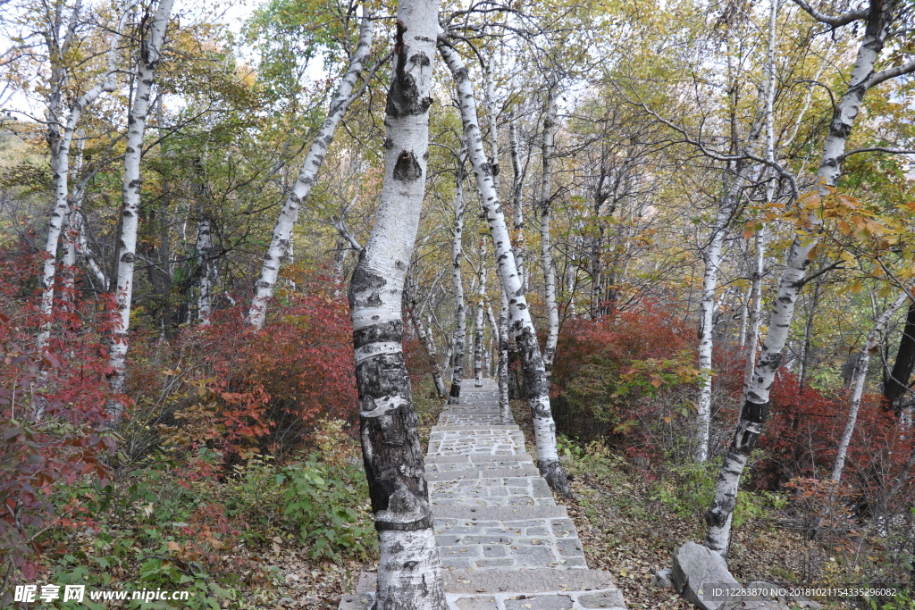 祖山山间路