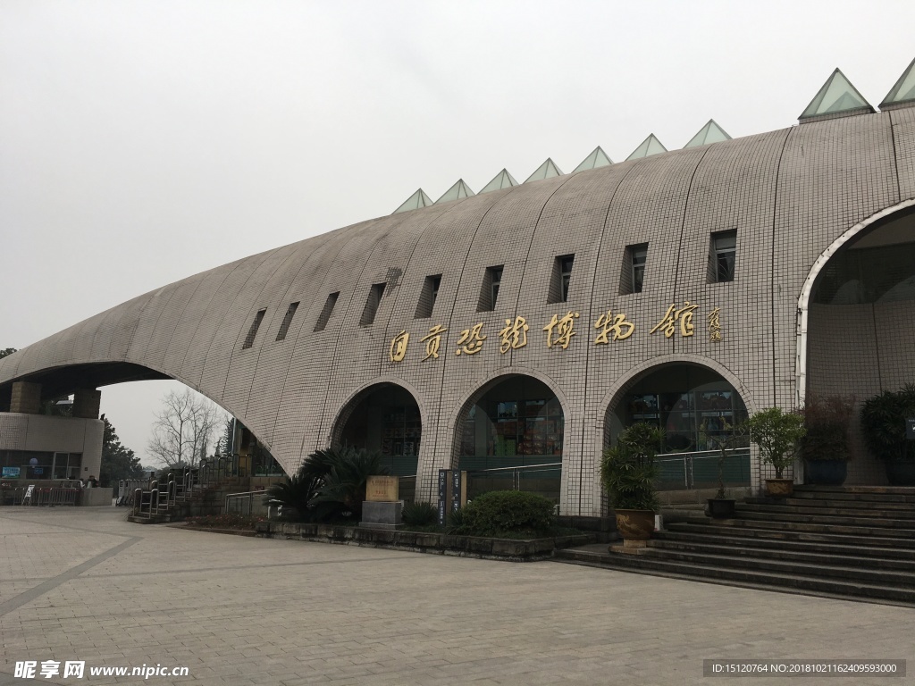 恐龙蛋化石 恐龙蛋 恐龙 自贡