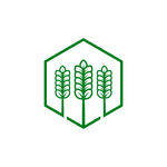 麦穗图标