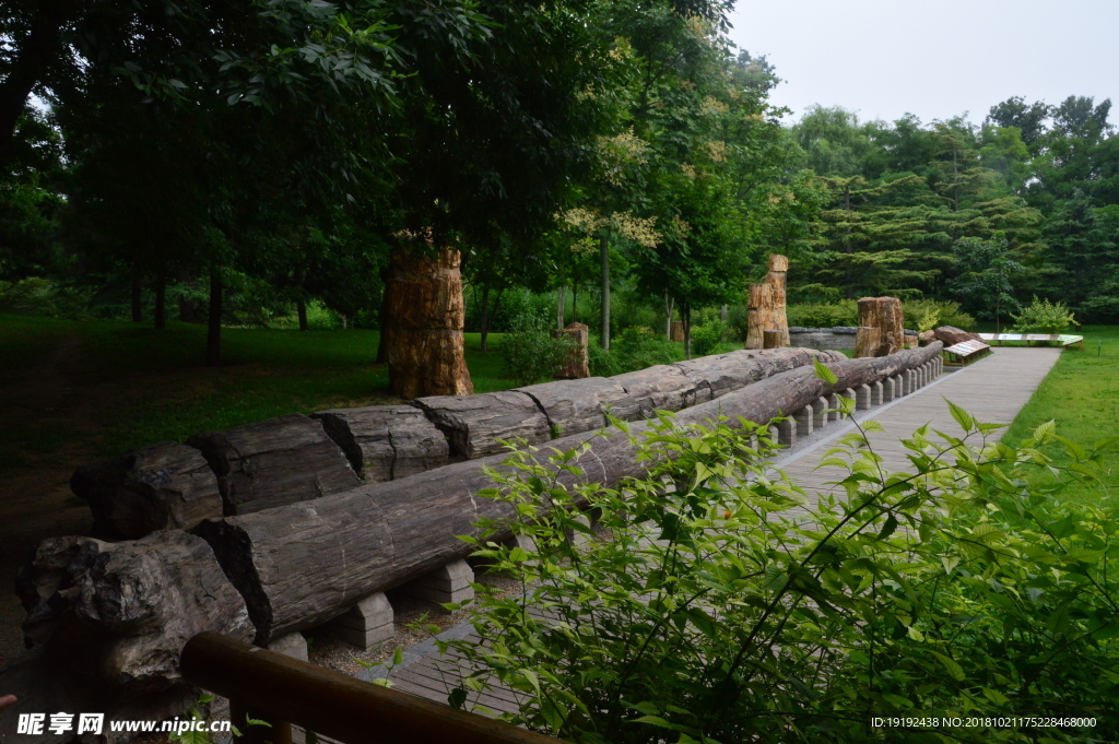动物园风景