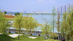 湖畔风景