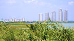 公园风景