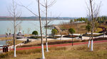 湖畔风景