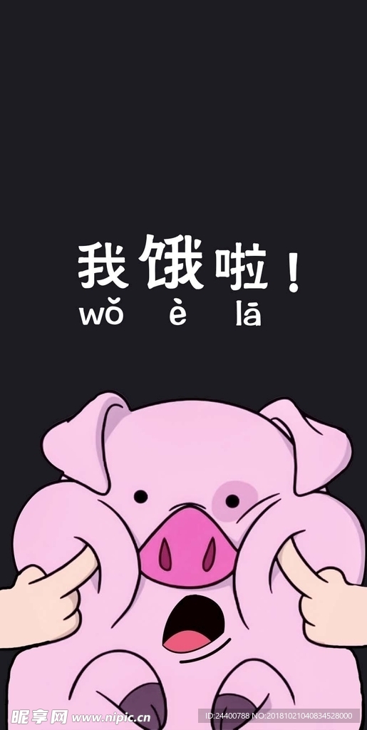 猪