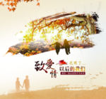 致爱情