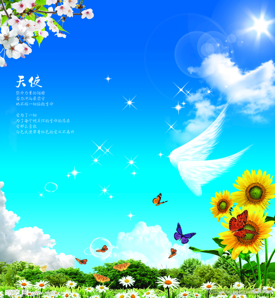 蓝天阳光小花