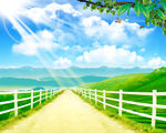 阳光小路