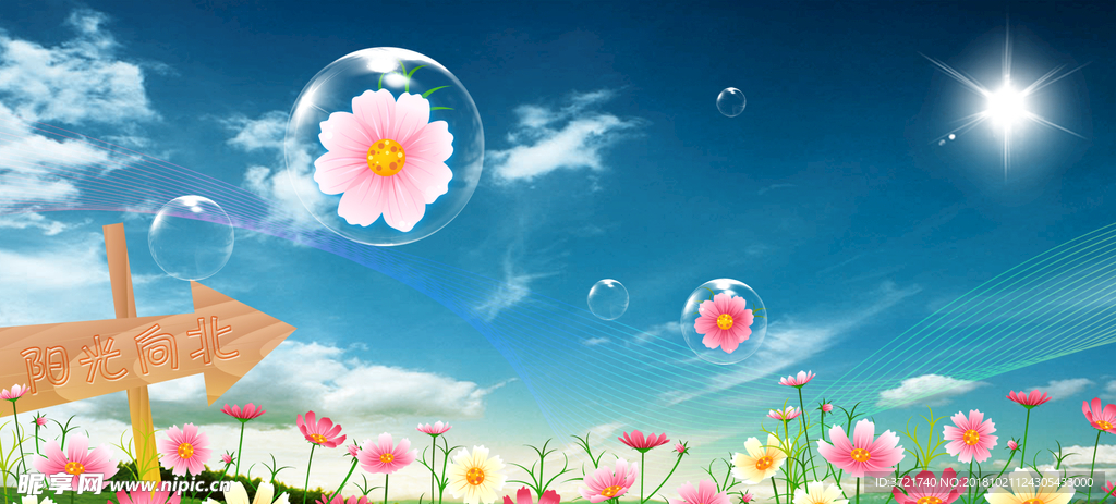 阳光小花