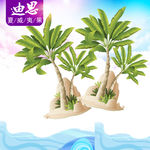 坚果店 坚果海报 美味坚果 干
