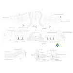 CAD公园绿化 桥路 道路绿化