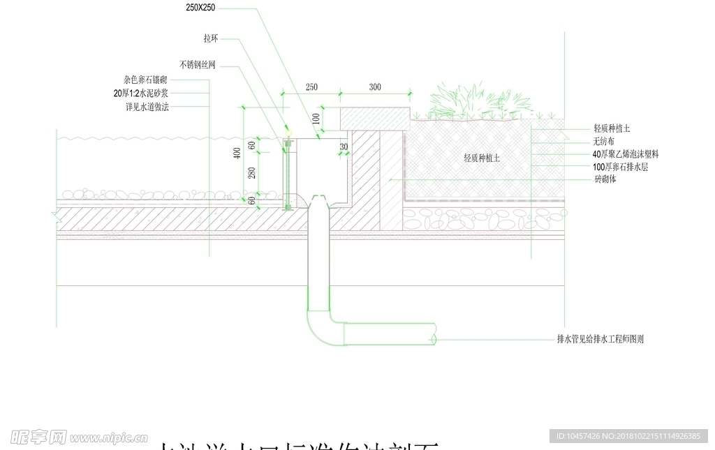 CAD公园绿化 桥路 道路绿化