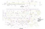 CAD公园绿化 桥路 道路绿化