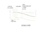 CAD公园绿化 桥路 道路绿化