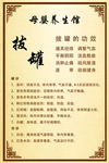 母婴养生馆展板