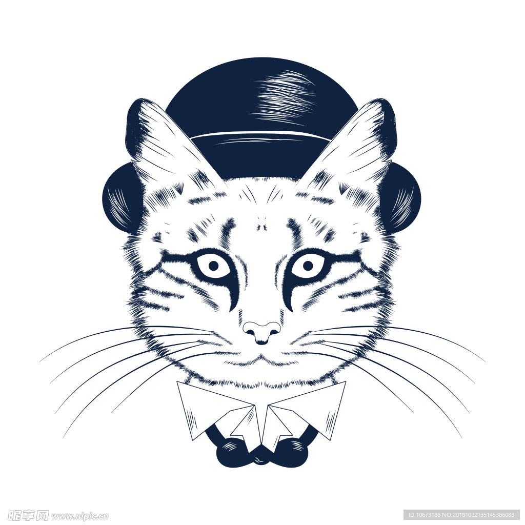 卡通猫咪图片