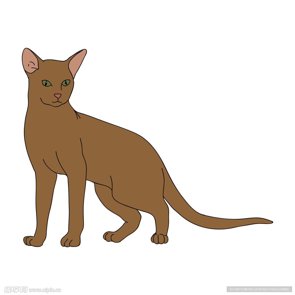卡通猫咪图片