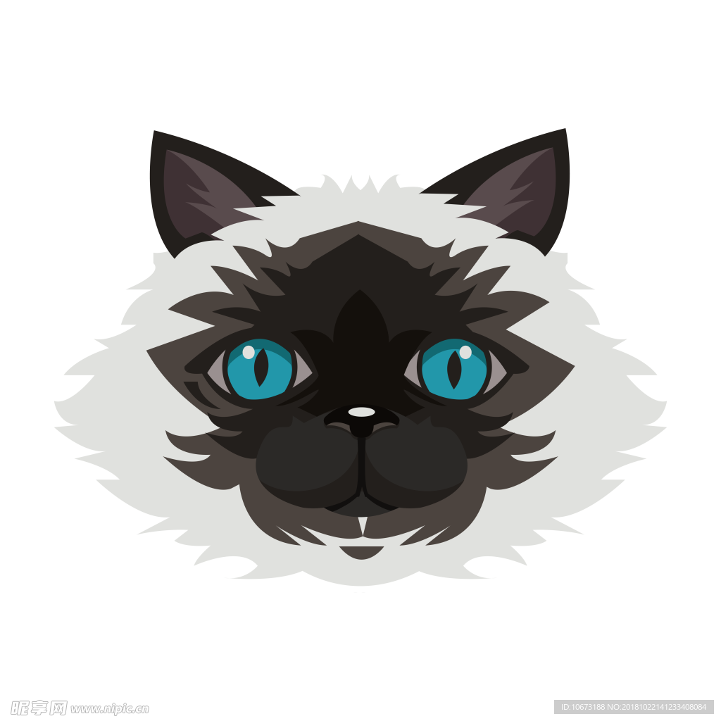 透明底猫咪图片