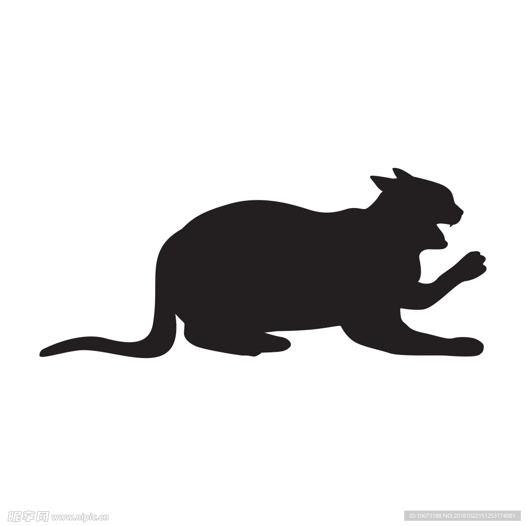 透明底猫咪图片