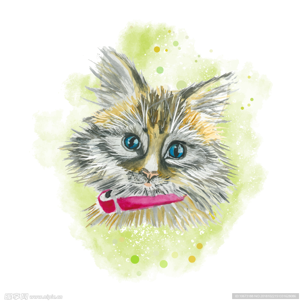 透明底猫咪图片