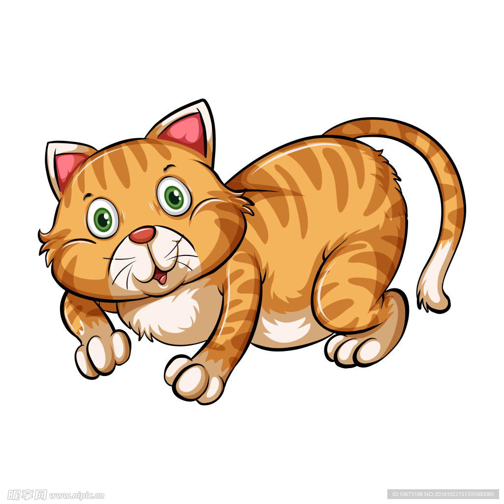 透明底猫咪图片