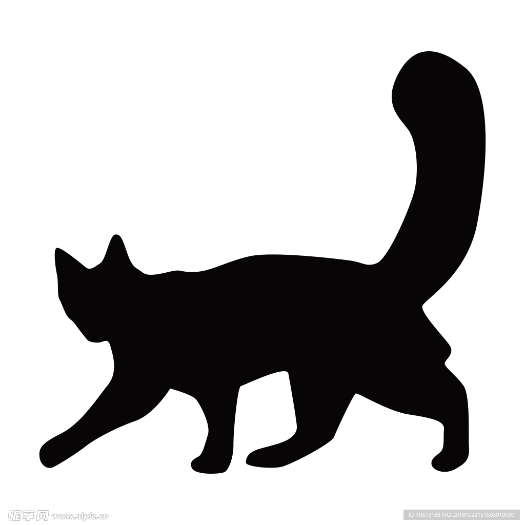 透明底猫咪图片