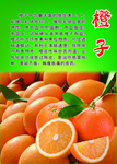 橙子