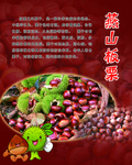 板栗