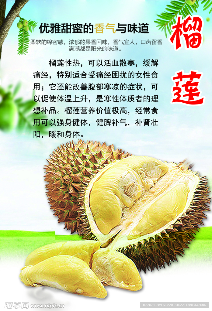 榴莲
